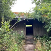 Rotkehlchenhütte Holzhütte inmitten dichter Vegetation, Moos bedecktes Dach, Zugang über schmalen, knorrigen Holzsteg.
