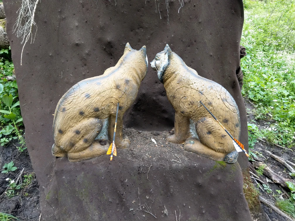Bogenpark Emmetten Luchs_Abenteuer und Spass_Nidwalden Tourismus.jpg