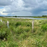 Meerbruchwiesen Dicht bewachsene Wiesen mit einem ruhigen Gewässer im Hintergrund bei bewölktem Himmel.