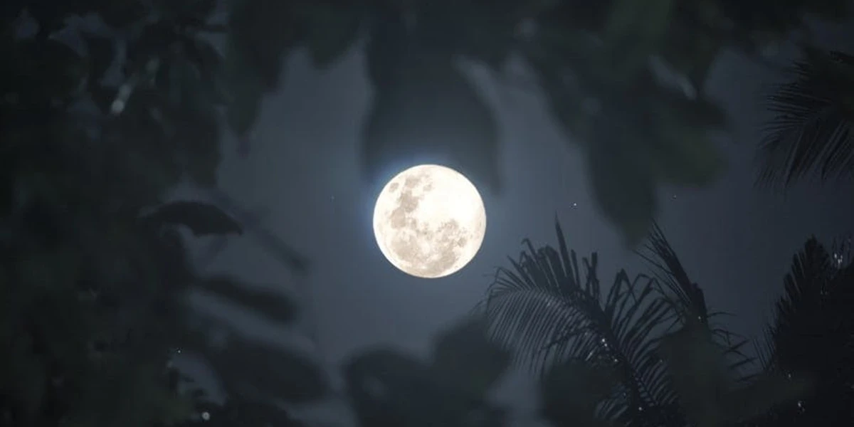 Märchenhafte Mondwanderung