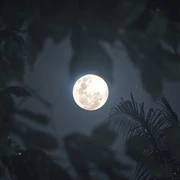 Märchenhafte Mondwanderung