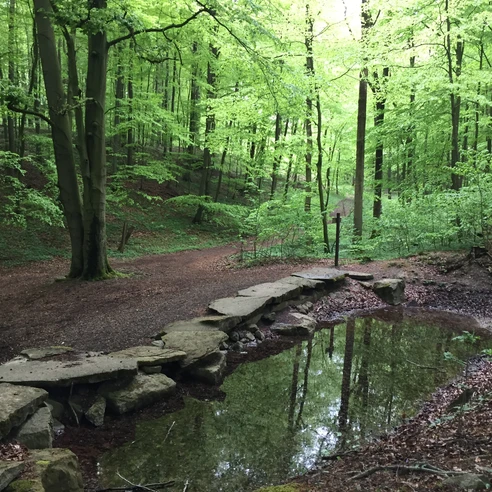 Blutbachquelle Blutbachquelle