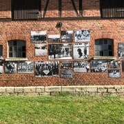 Wolperode Dorfschönheiten_web.jpg