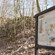 Infostele Flammenmergelsteinbruch auf dem Geopfad Salzgitter-Bad