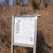 Infostele Salz auf dem Geopfad Salzgitter-Bad