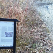 Infostele Meeresboden auf dem Geopfad Salzgitter-Bad