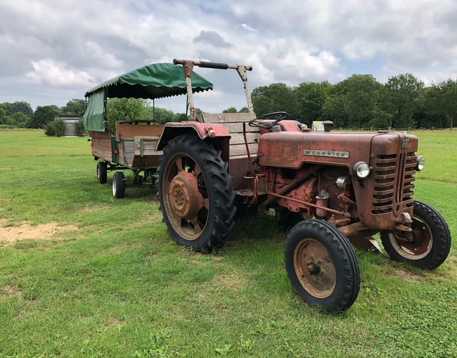Hof Claus Ein rustikaler roter Traktor mit Anhänger steht auf einer grünen Wiese unter wolkigem Himmel.