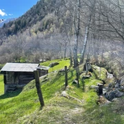 Geimerblatt