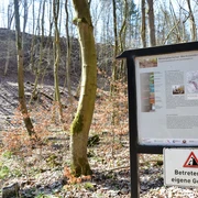 Infostele Trochitenkalkbruch auf dem Geopfad Salzgitter-Lichtenberg