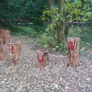 Drachenschwanz am Drachenrundweg