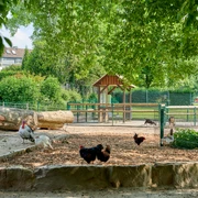 Witthausbusch Witthausbusch