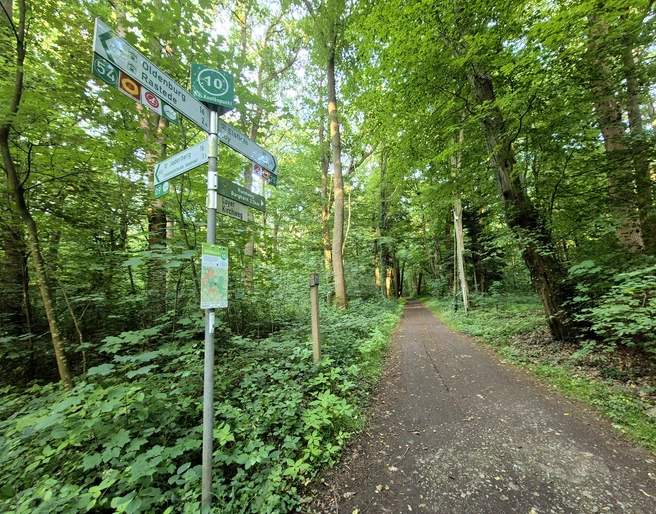 Knotenpunkt am Loyer Kirchweg