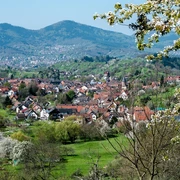 Ortsansicht Loffenau