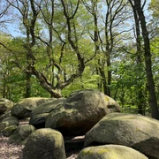 Großsteingrab auf Bruneforths Esch, Stavern ©Emsland Tourismus GmbH (11).jpg