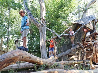 ArkaZien Erlebniswelt Region Leipzig - Kinder beim Baumstammklettern  Ein Junge balanciert auf einem breiten Baumstamm, zwei weitere Kinder folgen ihm.