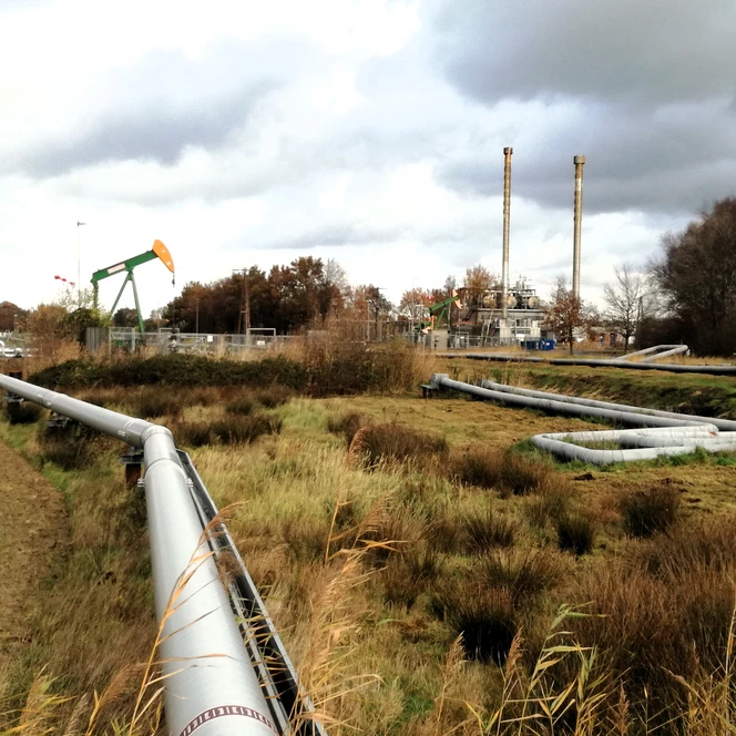 Im Ölfeld bei Rühlermoor (Nov. 2020)