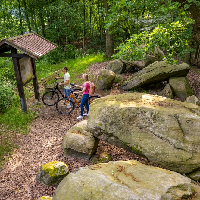 Großsteingrab auf Bruneforths Esch, Stavern – Radfahren Hümmling ©Emsland Tourismus GmbH (1).jpg