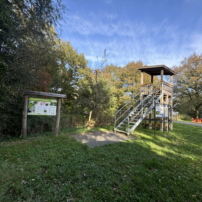 Aussichtsturm Borkener Paradies, Meppen ©Emsland Tourismus GmbH.JPEG