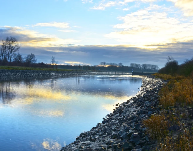 Emsauen, Naturschutzgebiet bei Herbrum ©Emsland Tourismus GmbH (2).jpg