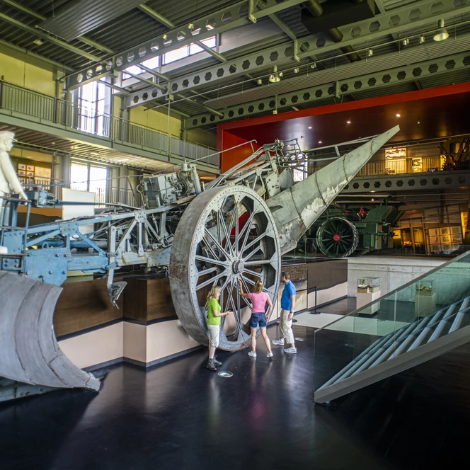 Emsland Moormuseum in Geeste – Mammut in Ausstellungshalle II ©TMN GmbH, Sabine Braun Fotografie-365