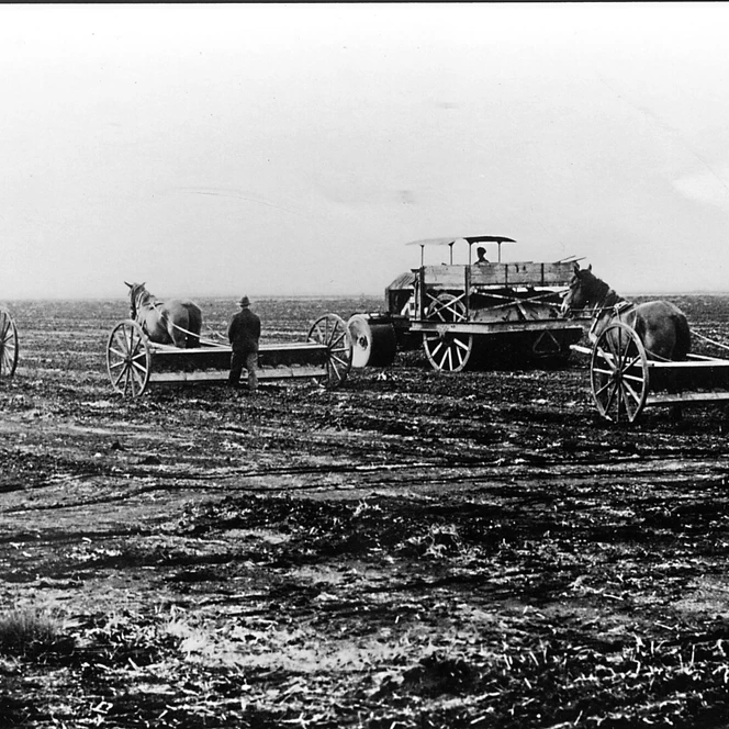 Es folgte die erste Einsaat wie hier Gras. Während Grassamen mit Pferde gezogener Drillmaschine gesät wurden, erfolgte das Anwalzen motorisiert mit schwereren Walzen.
