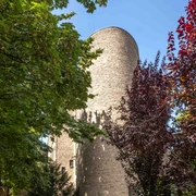 St. Alban Rundturm aus rotem Backstein, umgeben von buntem Herbstlaub und hellem Himmel.Round tower made of red brick, surrounded by colorful autumn leaves and a bright sky.