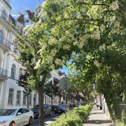 Fuehrung_Kur Geschichte_BadHomburg©kuk(1).JPG