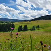Blick auf Keilberg und Fichtelberg