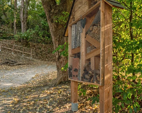 Dauborner Anlagen Insektenhotel.jpg
