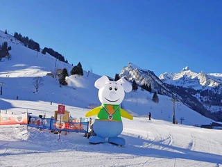 skischule-diemtigtal-gelaende-skilift-winterlandschaft.jpg