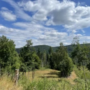 Ausblick vom Estenbergrundweg 2