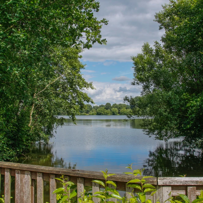Saller See – Erholungsgebiet zwischen Lengerich und Freren ©Emsland Tourismus GmbH (3).JPG