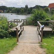 Landangelstelle Schulsee Mölln_barrierearm  Holzplattform am Schulsee umgeben von Schilf und Bäumen, geeignet für Angler und Personen mit Mobilitätseinschränkungen am ruhigen Wasser.