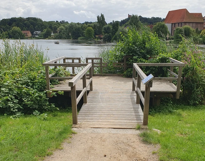 Landangelstelle Schulsee Mölln_barrierearm  Holzplattform am Schulsee umgeben von Schilf und Bäumen, geeignet für Angler und Personen mit Mobilitätseinschränkungen am ruhigen Wasser.