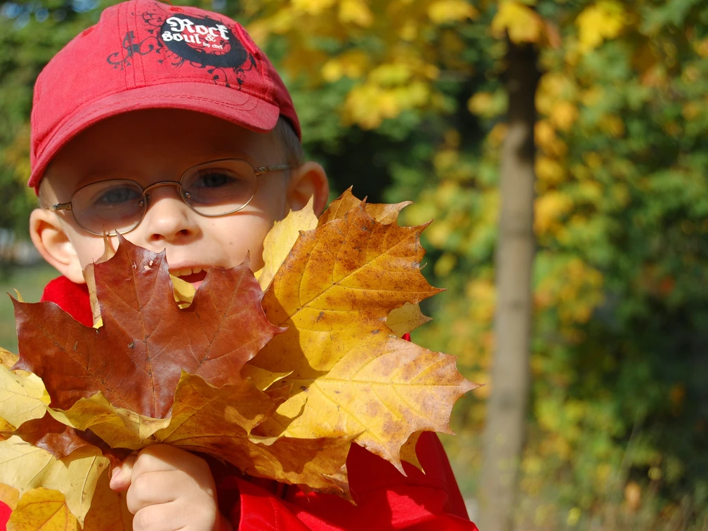Kind mit Herbstblatt, ccby Pixabay