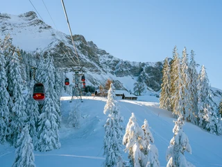 Christmas delight for companies on Mount Pilatus