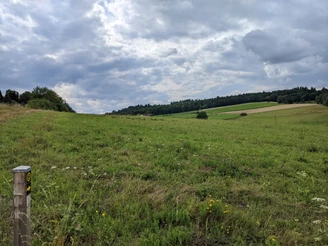 Blick auf Mengers Hof