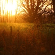 Abendlicht_ccby Pixabay