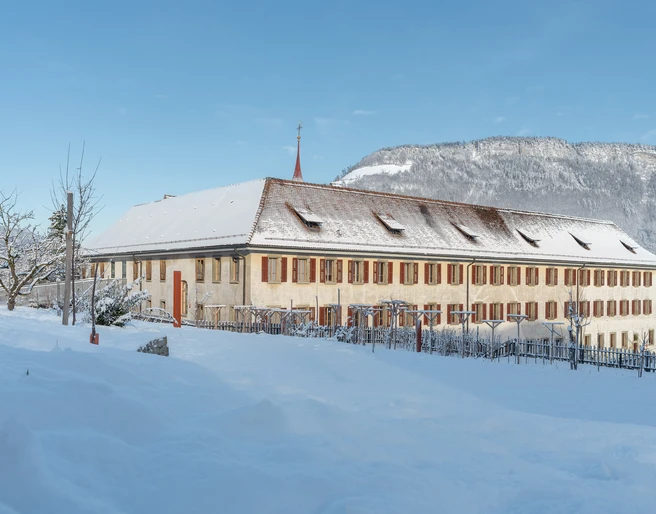 Prepare Christmas snacks and Christmas cookies yourself