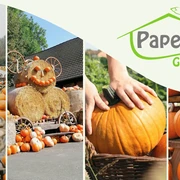 Kein Titel (608 x 342 px) (1920 x 1080 px).jpg