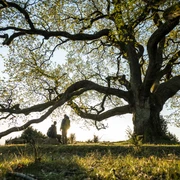 L³neburger Heide-2020-025-Totengrund.jpg