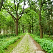 Historische Straße in Klein Berßen ©Emsland Tourismus GmbH (2).jpg