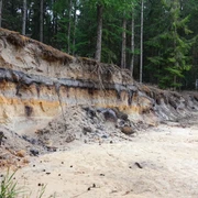 Bodenprofil Podsol (Bleicherde, Grauerde) in Holte, Geopark ©Emsland Tourismus GmbH (2).jpg