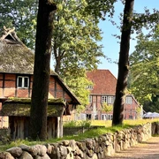 wilsede-bispingen.jpg Fachwerkhäuser mit Strohdächern stehen entlang einer sonnenbeschienenen Kopfsteinpflasterstraße.