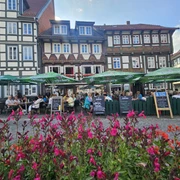 WhatsApp Image 2025-08-12 at 12.05.08.jpeg