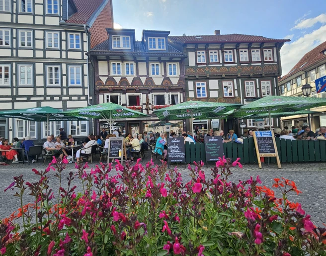 WhatsApp Image 2025-08-12 at 12.05.08.jpeg