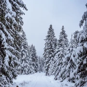 Winterwanderung in Baiersbronn