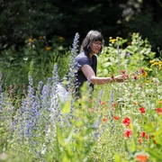 Naumburg im Hummelgarten an der Hummelwerkstatt