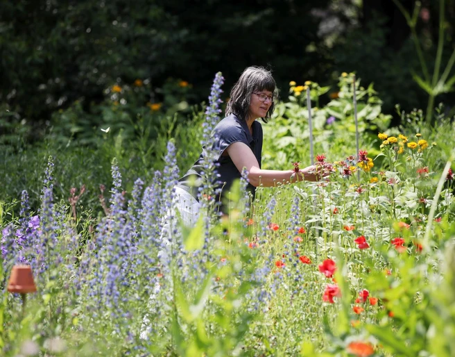 Naumburg im Hummelgarten an der Hummelwerkstatt