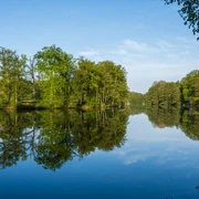 brunausee-behringen.jpg Ein ruhiges Gewässer spiegelt eine grüne Ufervegetation wider, eingerahmt von blühenden Bäumen.